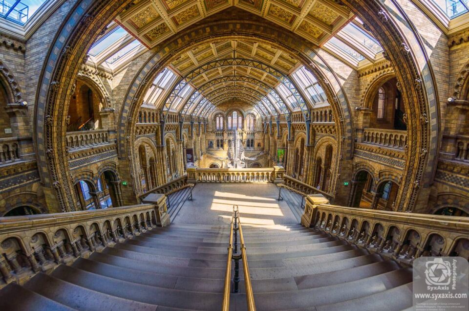 NHM